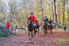 Stuttgarter Jagd 2005